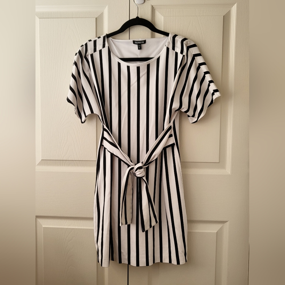 Express XS Stripe Dress